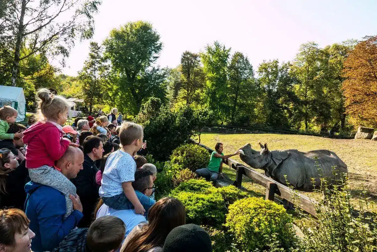 Warszawskie ZOO Swiatowy Dzien Zwierzat_fot_m.st_.Warszawa
