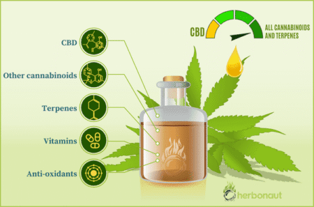 Kannabidiol i jego właściwości przeciwzapalne