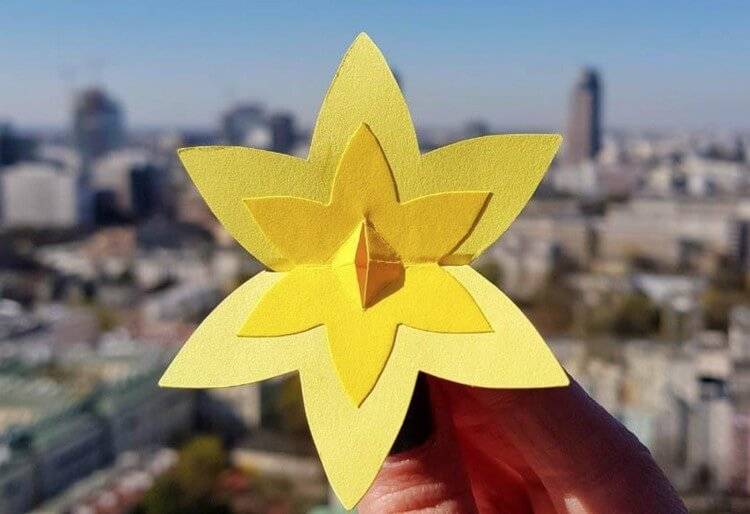 81. rocznica wybuchu powstania w getcie warszawskim Muzeum POLIN zaprasza wolontariuszy do udziału w tegorocznej akcji Żonkile