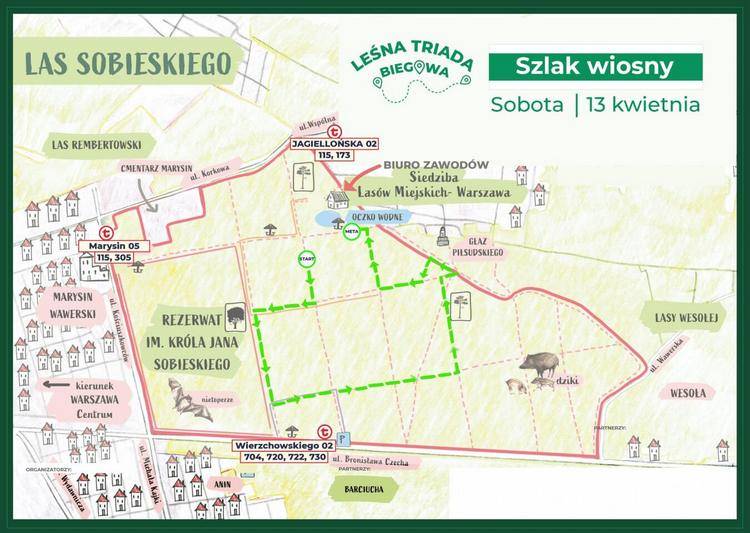 Leśna Triada Biegowa 2024 mapa