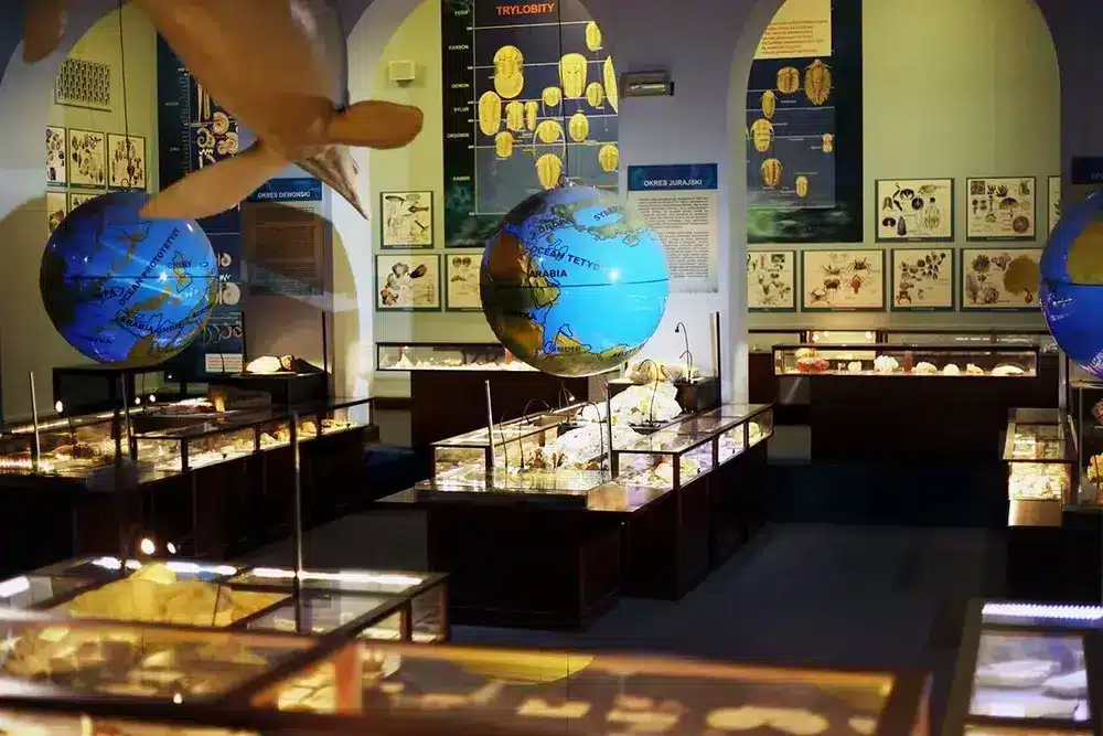 Muzeum Ewolucji PAN - sala morska