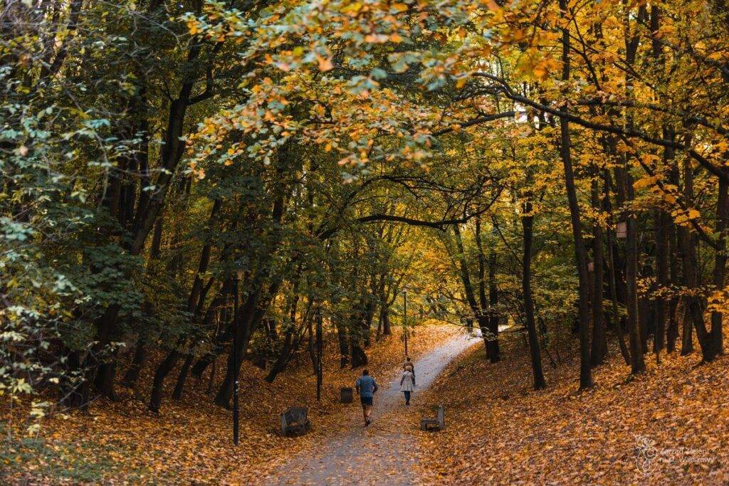Park Arkadia w Warszawie