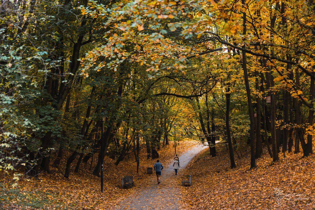 Park Arkadia w Warszawie