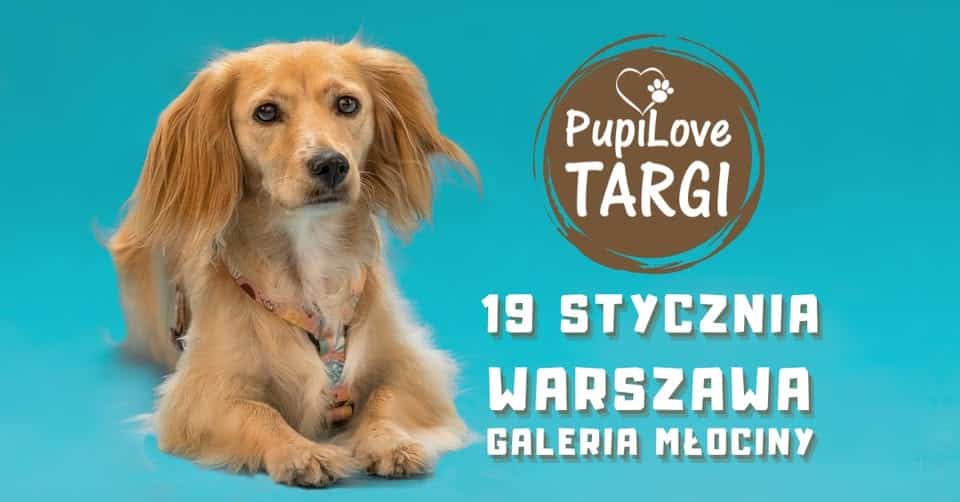 PupiLove Targi w Warszawie – 19 styczeń | Galeria Młociny wydarzenia warszawa - weekend