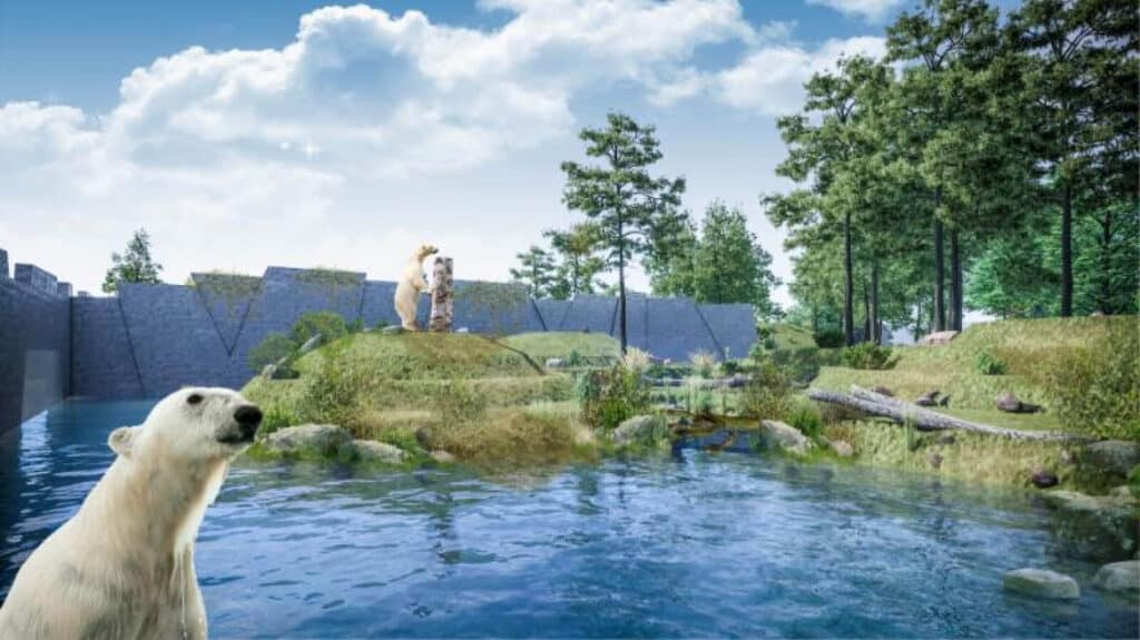 Nowy wybieg dla niedźwiedzi polarnych w warszawskim Zoo wybieg dla niedźwiedzi polarnych w warszawskim Zoo