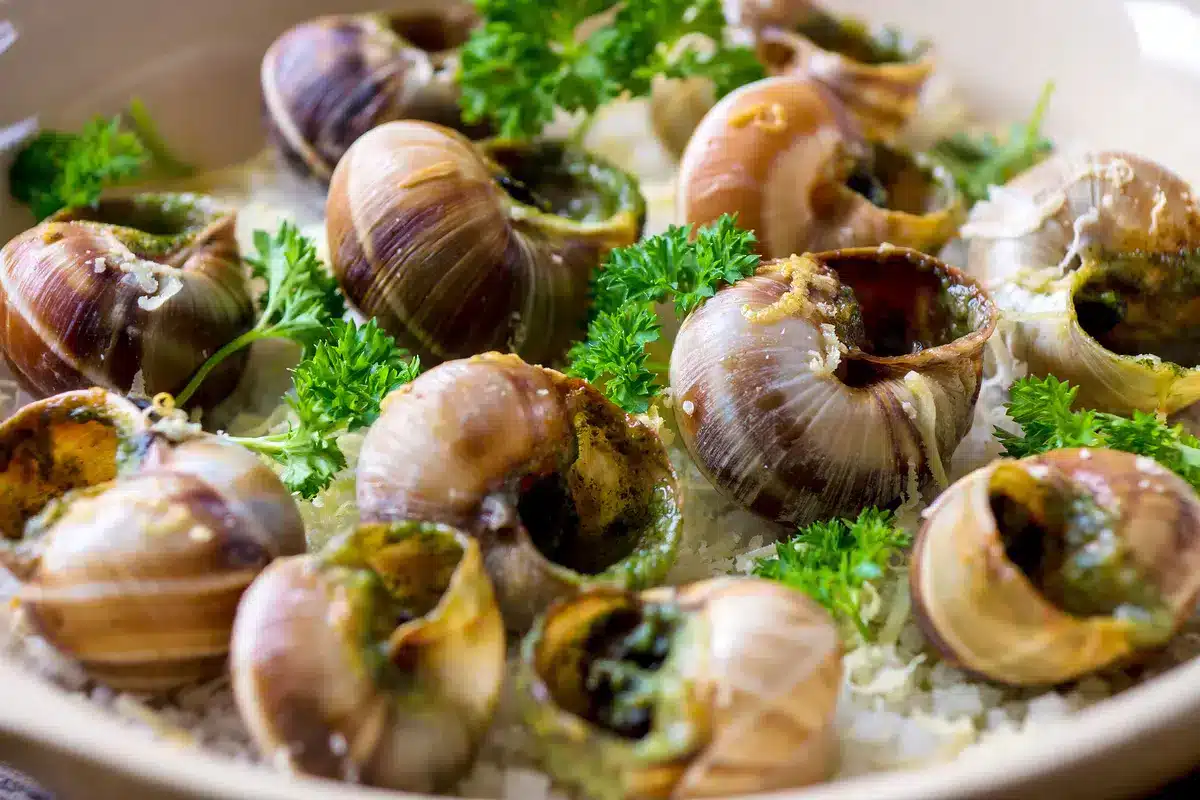 Ślimaki po burgundzku - restauracja francuska Warszawa