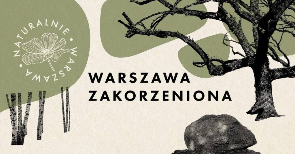 spacery po Warszawie - las Bielański