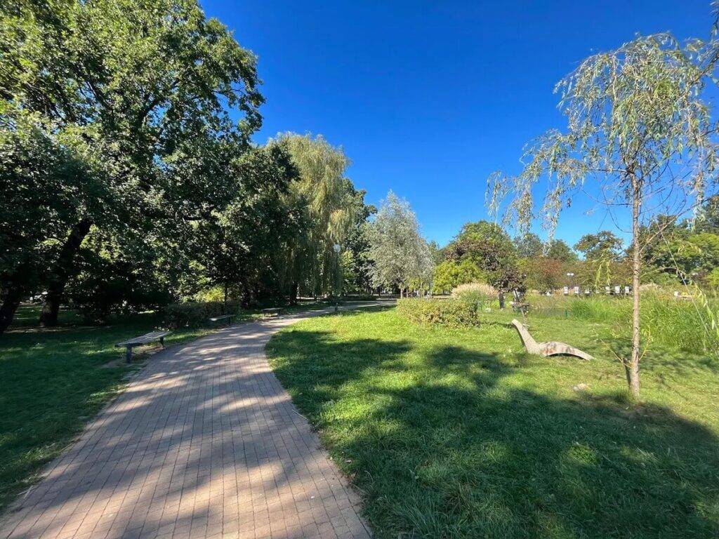 Park Czechowicki w Warszawie Park Czechowicki Warszawa - alejki spacerowe