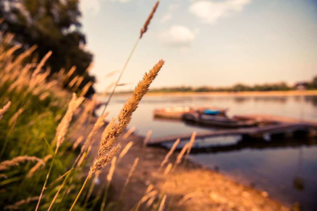 Warszawskie lato w Dzielnicy Wisła. Oto 5 bezpłatnych atrakcji, z których skorzystasz w wakacje Bezpłatne atrakcje nad Wisłą