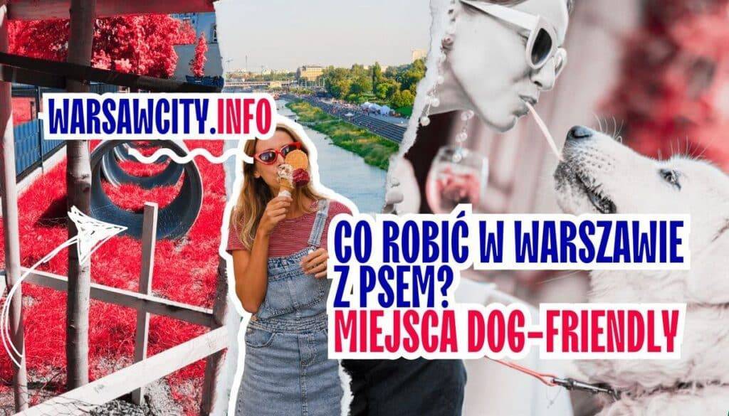 Co robić w Warszawie z psem? Najlepsze miejsca dog-friendly w stolicy Co robić w Warszawie z psem - Najlepsze miejsca dog-friendly w stolicy