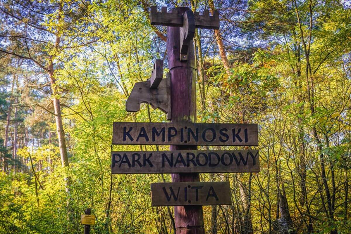 Jak zwiedzać Warszawę za darmo - Puszcza Kampinoska