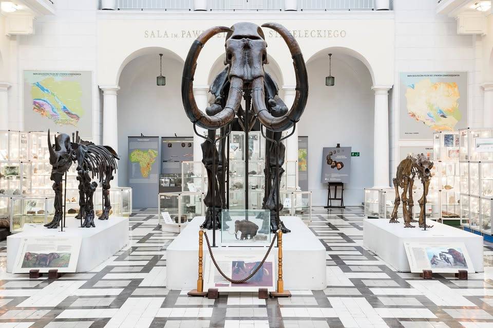 Muzeum Geologiczne w Warszawie