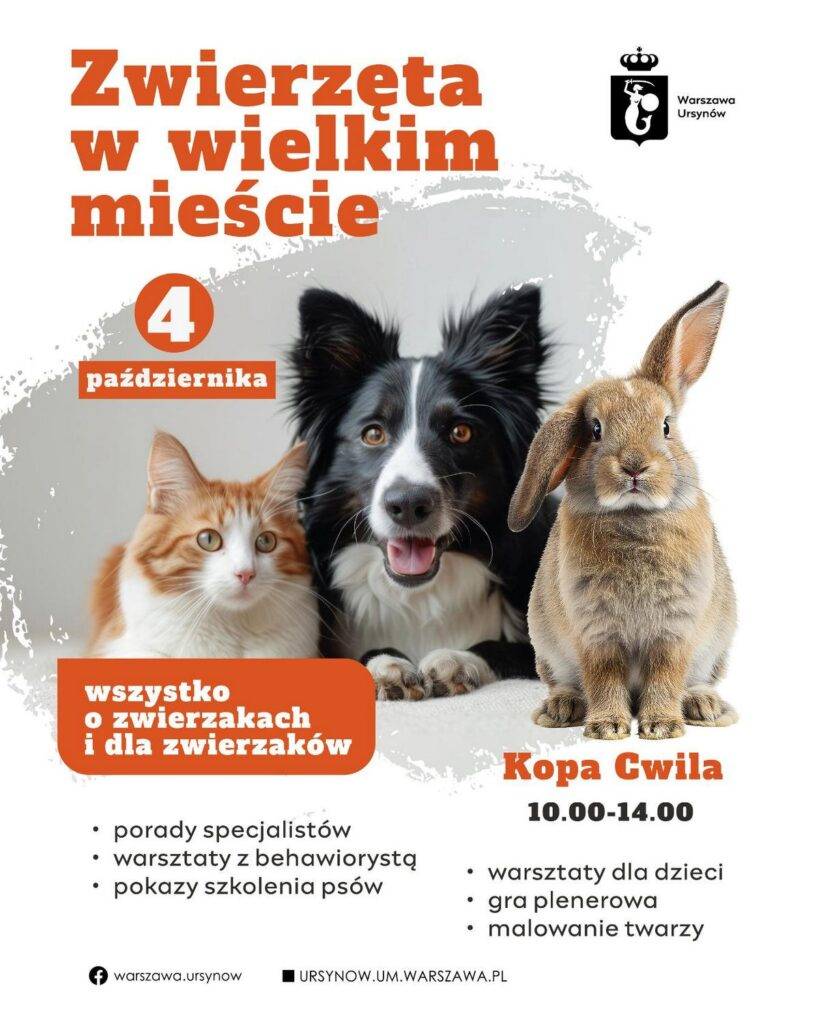 Piknik „Zwierzęta w wielkim mieście” wraca na Ursynów – edycja nr 3 Piknik Zwierzęta w wielkim mieście - wydarzenia Warszawa