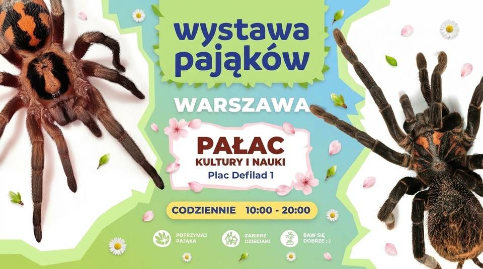 Wystawa pająków w Pałacu Kultury i Nauki Wystawa pająków w Pałacu Kultury i Nauki
