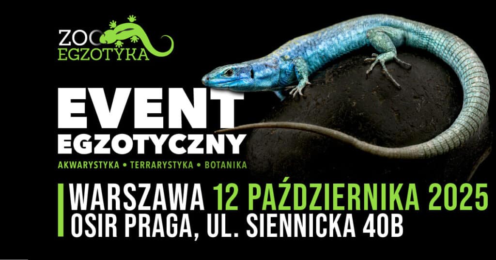 ZooEgzotyka Warszawa – 12 października 2025r. ZooEgzotyka Warszawa październik 2025 - wydarzenia Warszawa