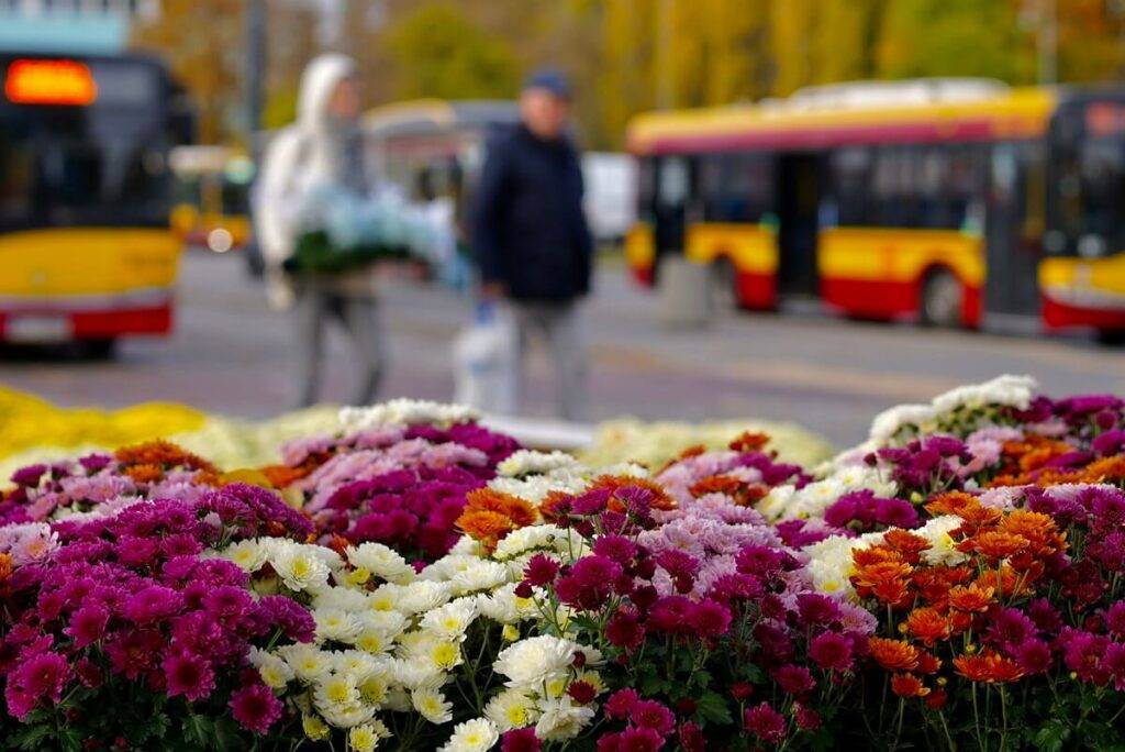 Jak dojechać na warszawskie cmentarze w dniu Wszystkich Świętych 2025 Jak dojechać na warszawskie cmentarze