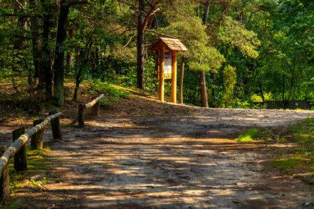 Kampinoski Park Narodowy: co warto zobaczyć, szlaki, dojazd, mapa i atrakcje Kampinoski Park Narodowy - co warto zobaczyć, szlaki, dojazd, mapa i atrakcje