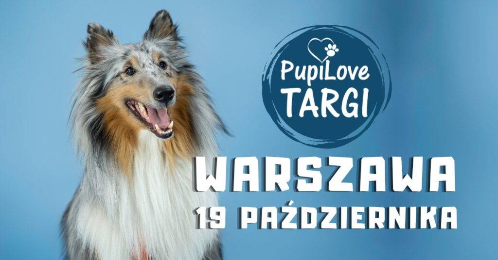 PupiLove Targi w Warszawie – darmowe wydarzenie dla właścicieli psów i kotów! PupiLove Targi w Warszawie 19.10.2025 - wydarzenia Warszawa