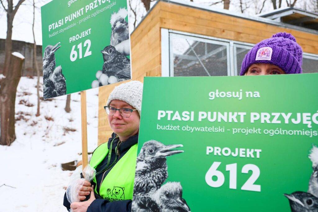 Ptasi Punkt Przyjęć przy Ośrodku Rehabilitacji Ptasi Azyl, Warszawskie ZOO | Autor: Szymon Pulcyn, UM Warszawa