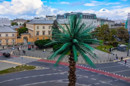 Palma na Rondzie de Gaulle’a - UM Warszawa